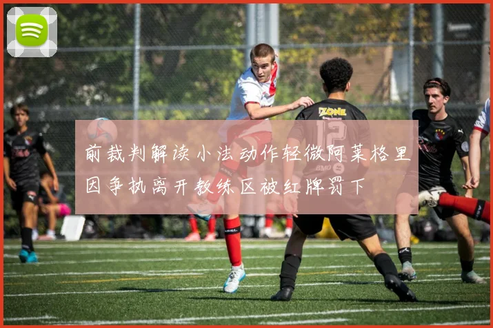 前裁判解读小法动作轻微阿莱格里因争执离开教练区被红牌罚下